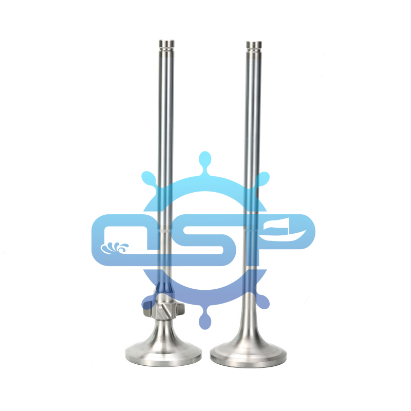 MAN B&W L28/32 Inlet valve
